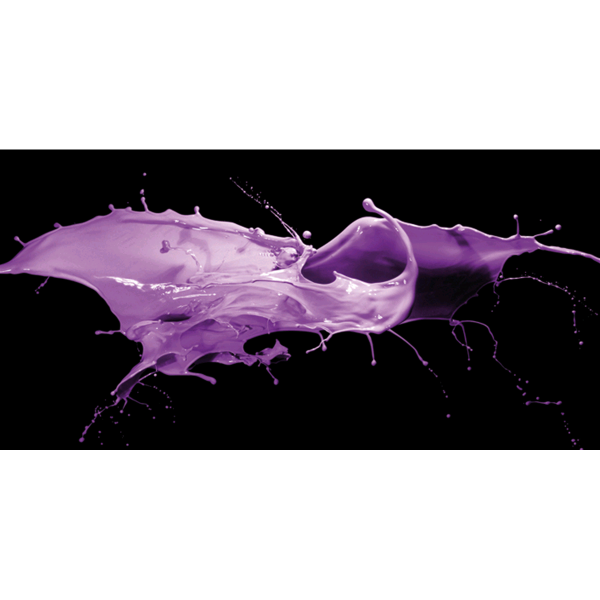 SPLASH VIOLA 